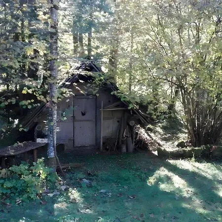 Casa vacanze Ferienhaus Roman Hinterstoder