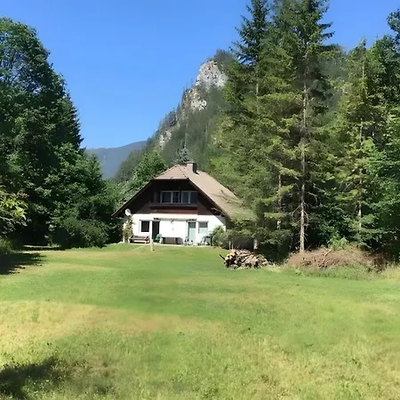 Ferienhaus Roman