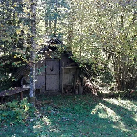 Ferienhaus Roman Hinterstoder