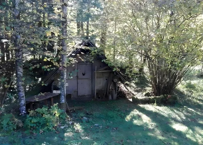 Σπίτι διακοπών Ferienhaus Roman Hinterstoder