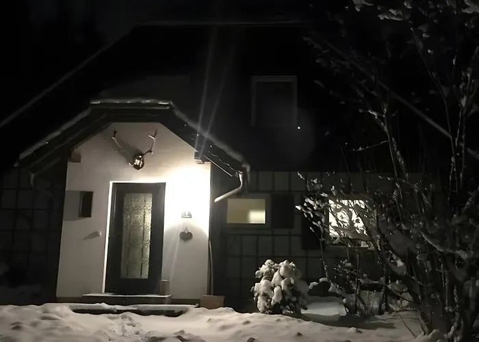 Ferienhaus Roman هينترستودر