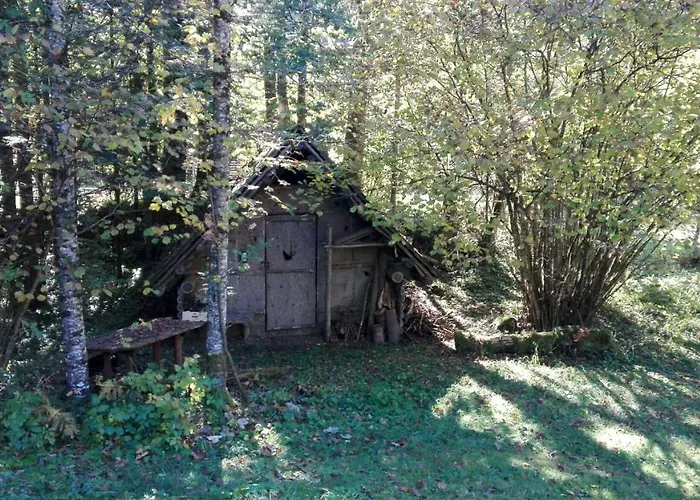 Ferienhaus Roman Hinterstoder