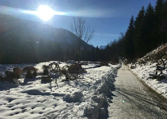 Ferienhaus Roman 펜션